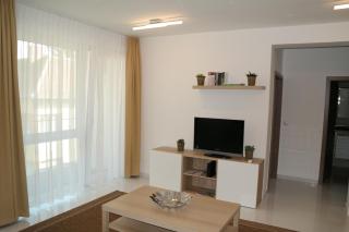 Holiday Apartman with Free Parking - Győr - 6