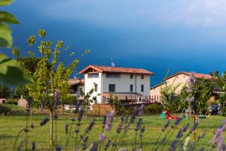 Art Gallery B&B - Lonato - 2