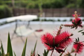 Anastazia Paradise - Kolios - 5