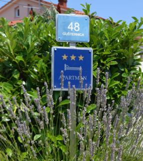 Apartman Renata - Krk - 9