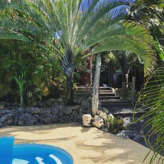 Ti coin paradis - Anse-Bertrand - 2