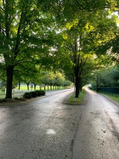 Biddle Point Inn - Plymouth - 2