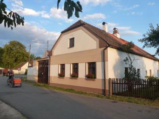 chalupa U Hovorků s bazénem - u pískoven Vlkov - Veselí nad Lužnicí - 8