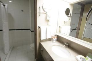 Holiday Inn Leon-Convention Center by IHG - León - 1