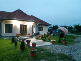 Casa Alin - Haţeg - 5