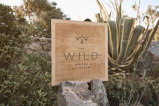The Wild by Interni - 6