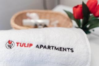 Tulip-Apartments - Jagiellońska 24 poddasze bez windy - Stettin - 2