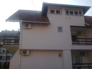 Sava - Soko Banja - 4