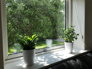 Charm Inn - Svendborg - 5