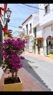 Estepona port - 7