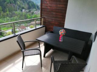 RAI Apartament - Sinaia - 1