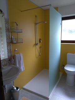 Haus Rosenegg - Brixen im Thale - 4