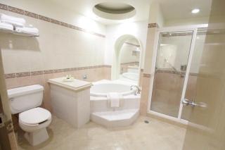 Holiday Inn Leon-Convention Center by IHG - León - 8