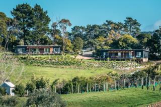 Putaki Bay - Tui Villa - Be My Guest Waiheke - Te Whau Bay - 8