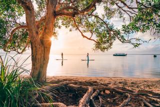 Habitat Noosa - Cootharaba - 2