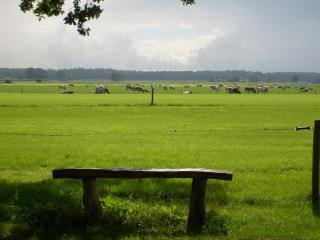 Boerderij De Aarnink - Heeten - 1