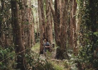 Habitat Noosa - Cootharaba - 9