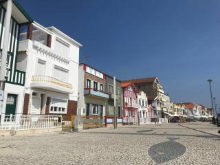 Captain Pisco's Palheiro - Great Location - Costa Nova - 0