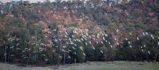 Jamieson Valley Retreat - Howqua - 2