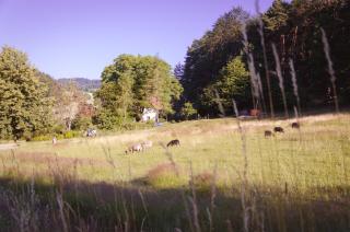 Chaloupka U sv. Dyndy - Nová Ves - 6