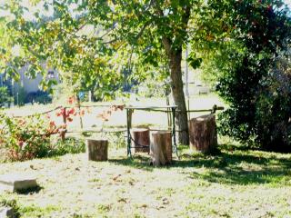 IL FAGGIO ROSSO - 3