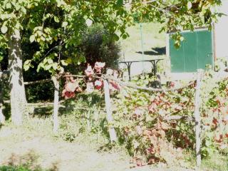 IL FAGGIO ROSSO - 5