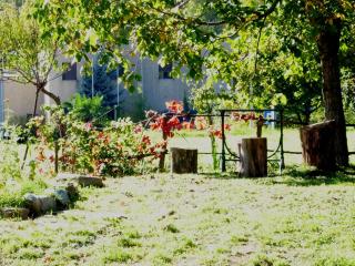 IL FAGGIO ROSSO - 7
