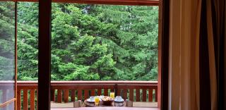 Hotel Yastrebets Wellness & Spa - Borovets - 9