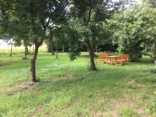 Marijanas Ferienhof 2, Urlaub mit viel Platz zwischen Dornumersiel und Bensersiel, gehört zum Café Kunterbunt - Holtgast - 9