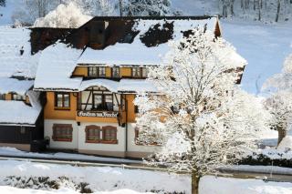 Hotel Gasthaus Hirschen Todtnau Brandenberg Hochschwarzwald Feldberg - 9