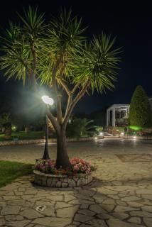 Mystic Garden Apartments - Zakynthos - 3