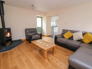 Bwthyn Eisteddfa Fach - 9