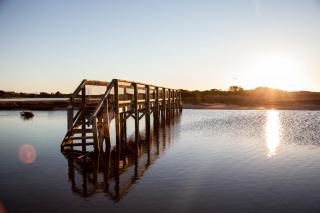 Pelican Sands Scamander - Scamander - 2