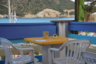 Hotel Giardino delle Palme - Campese - 9