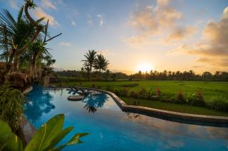 Beehouse Dijiwa Ubud - Ubud - 5