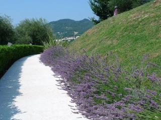 Appartamenti Borgo - Gardone Riviera - 5