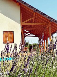 Villa Magnolia - Radanovići - 8