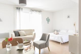 Zenao Appart'hôtels Mulhouse - Mulhouse - 8
