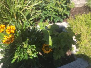 Haus Tschirgantblick - 5