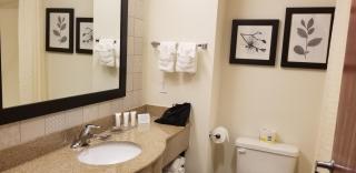 Country Inn & Suites by Radisson, Canton, GA - Canton - 7