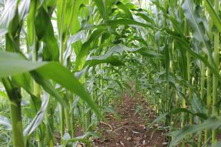 Hermann Ferienwohnung - 5