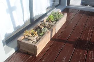 9 Coogee Bay - East London - 5