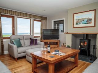 Corsewall Castle Farm Lodges - 7