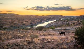 Witfontein Game Lodge - 3