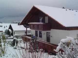 Ferienwohnungen Kasparbauer - Regen - 2