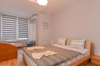 Vitosha View One Bedroom Apartment by Flat Mаnager - Sofia - 6
