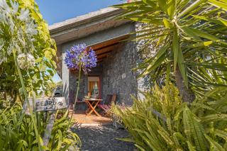 Quinta Devónia by An Island Apart - Funchal - 3