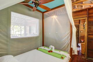 Casa Verde + Contiki - Cabo Matapalo - 3