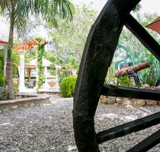 Palm Inn Hotel - 4