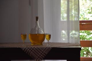 Vila Natasa - Kopaonik - 6